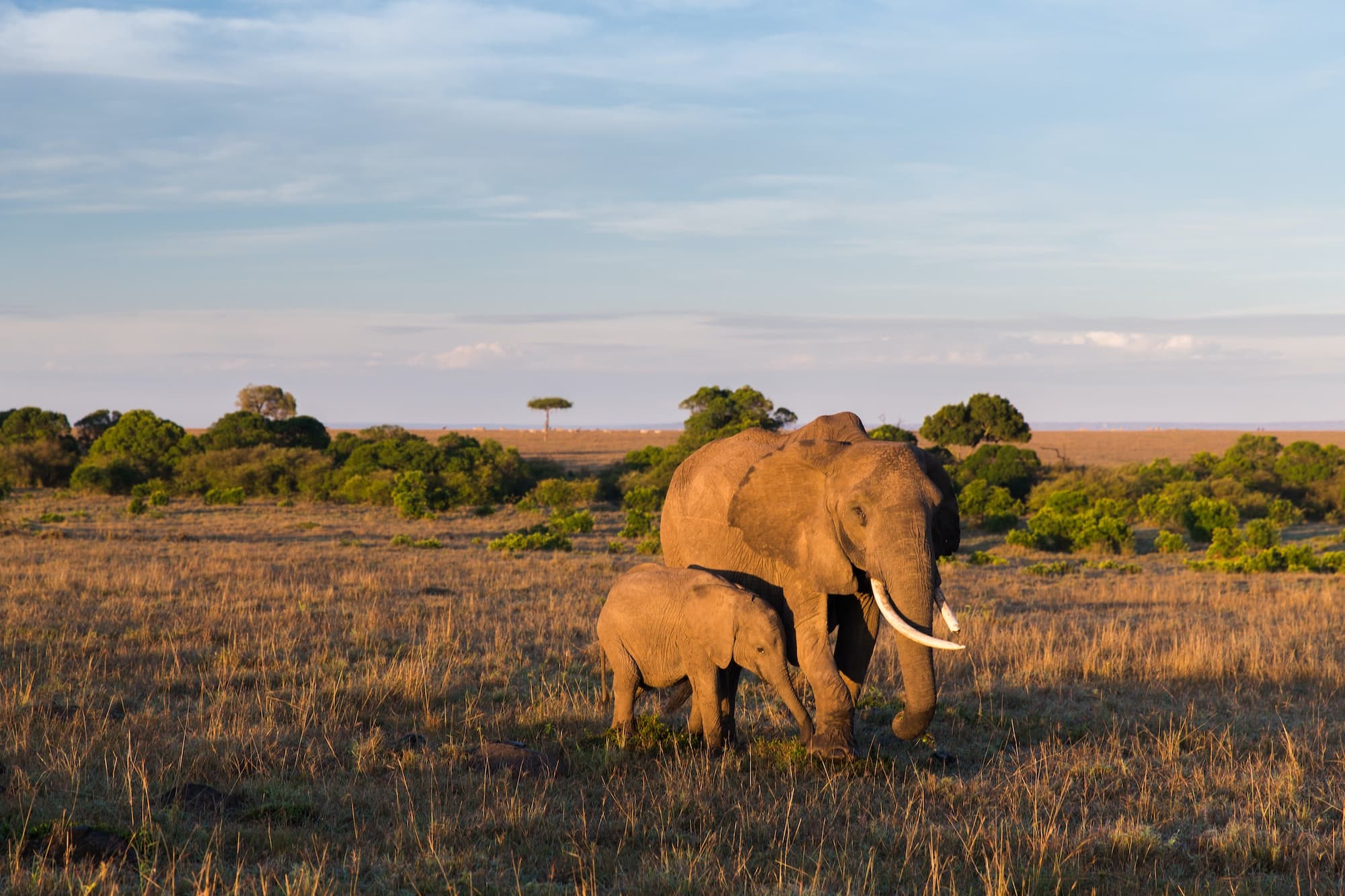 Uganda: 12-Day Western Circuit
