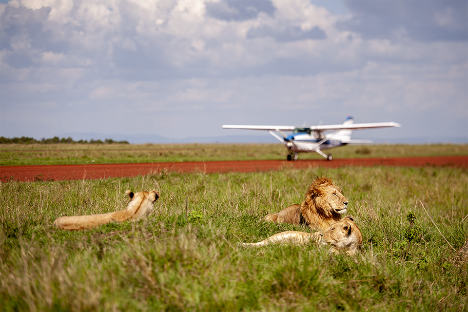 Gorillas, Wildlife & Culture Safari