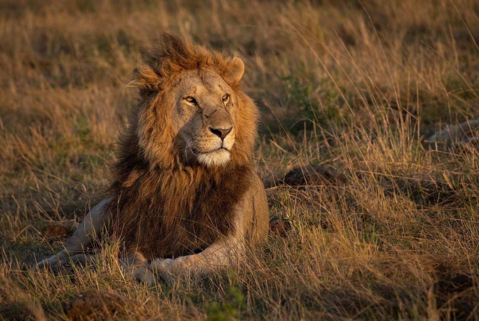 Kidepo Wilderness Safari