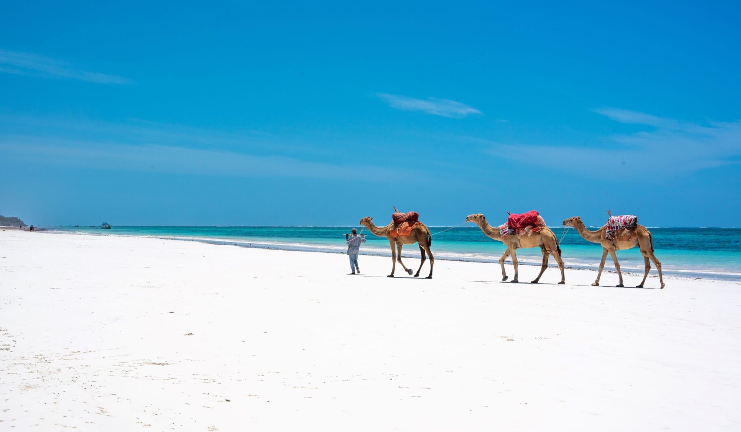 Beautiful white sand shoreline of Diani Beach Kenya