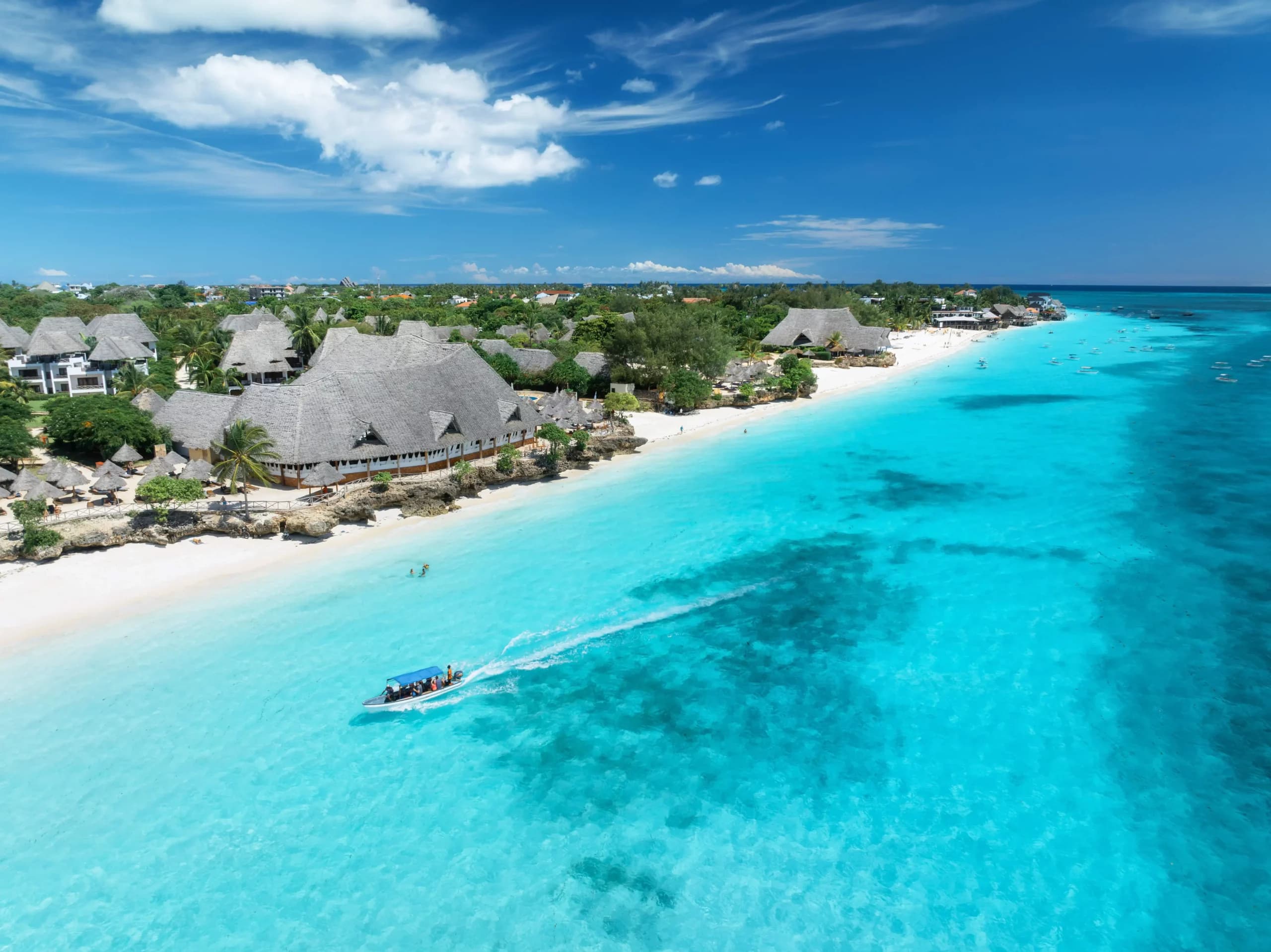 Green lush vegetation meeting clear Pemba waters