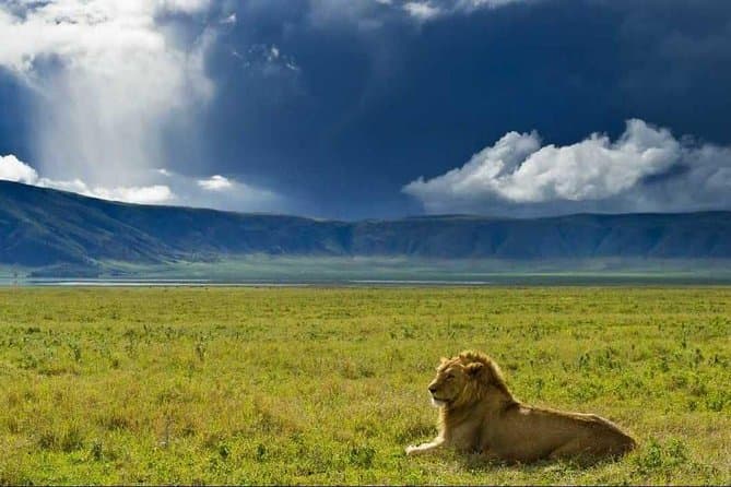 Ngorongoro Crater Tanzania aerial view