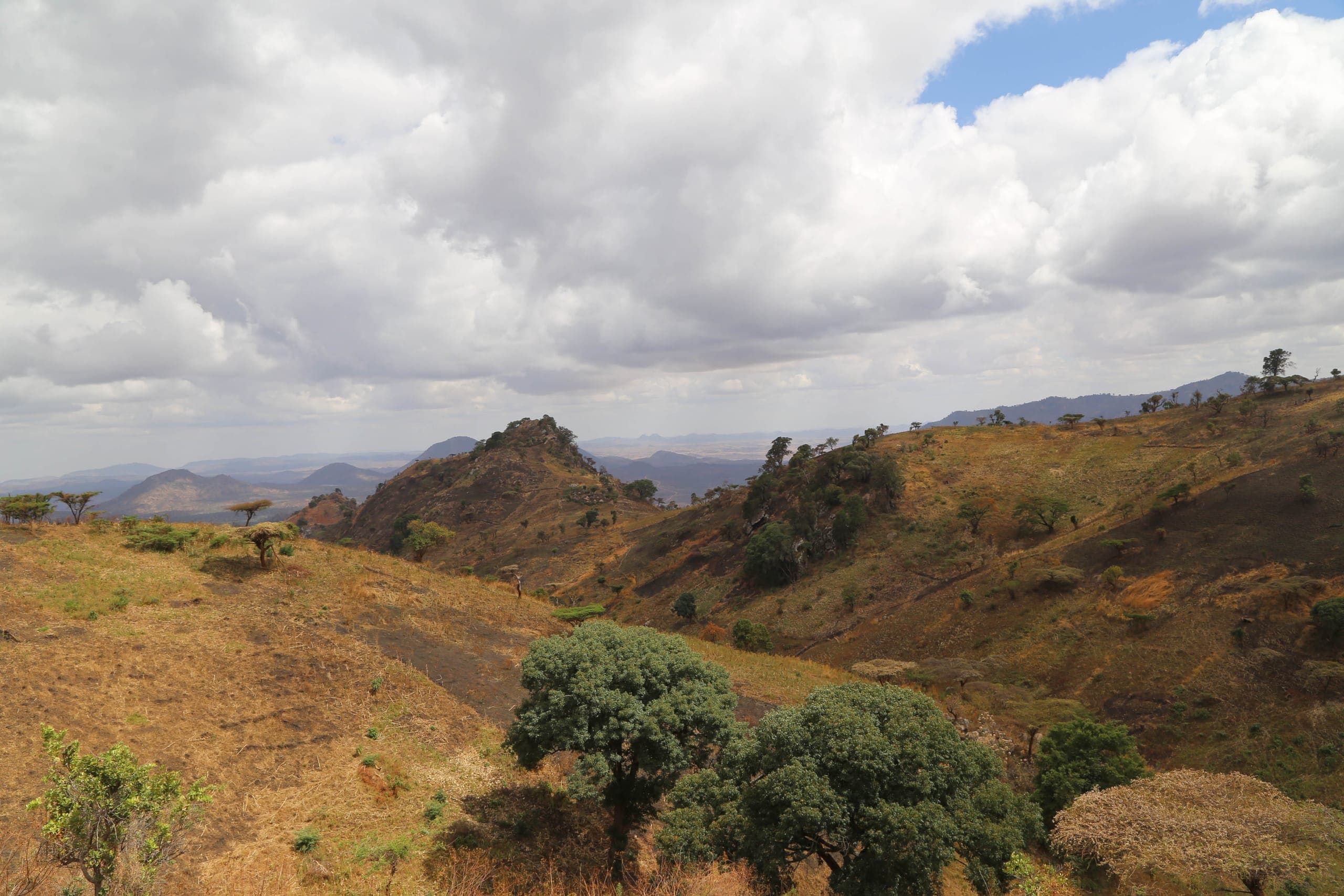 Panoramic sunrise view of Kidepo Valley National Park Uganda