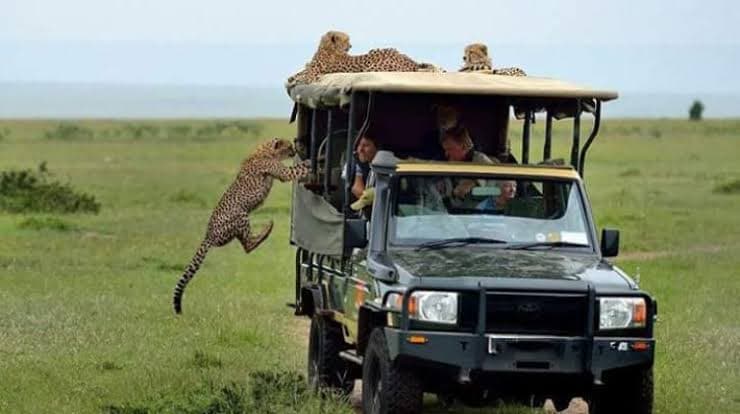 Masai Mara National Reserve