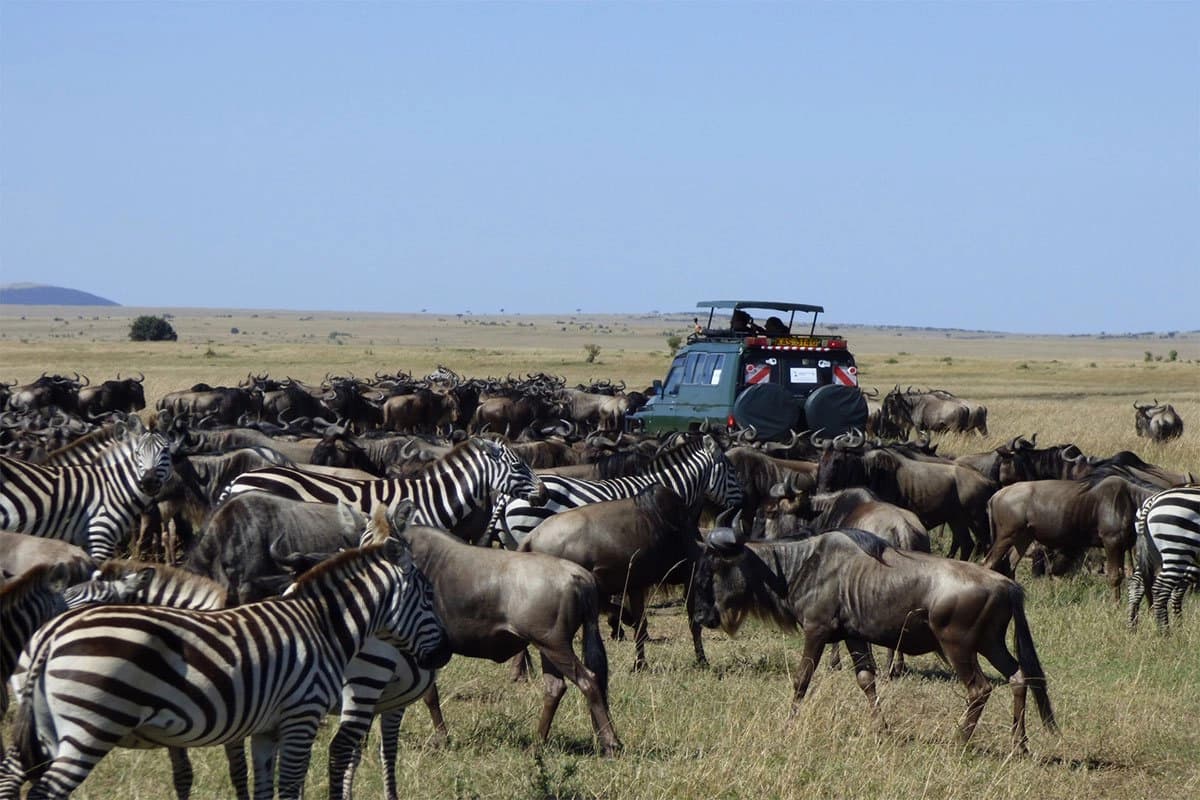 12-Day Tanzania Honeymoon Journey: Northern Circuit & Zanzibar