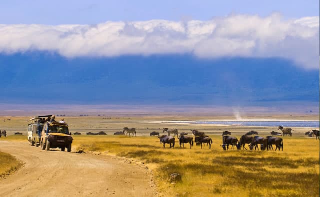 About Zorani Expeditions