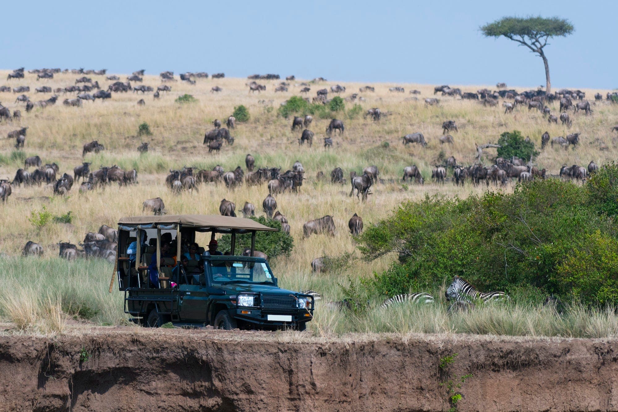 Safari game drive