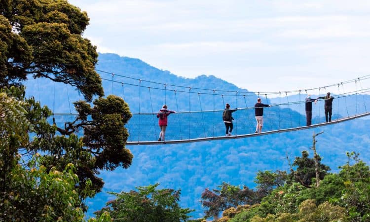 How to plan a Rwanda journey