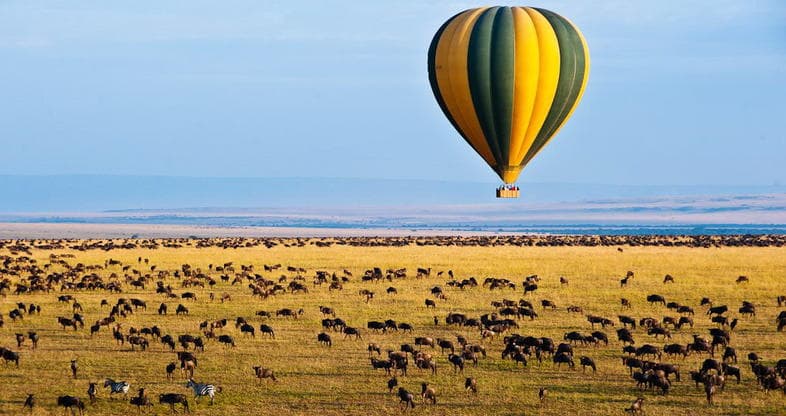 Best time to visit Kenya