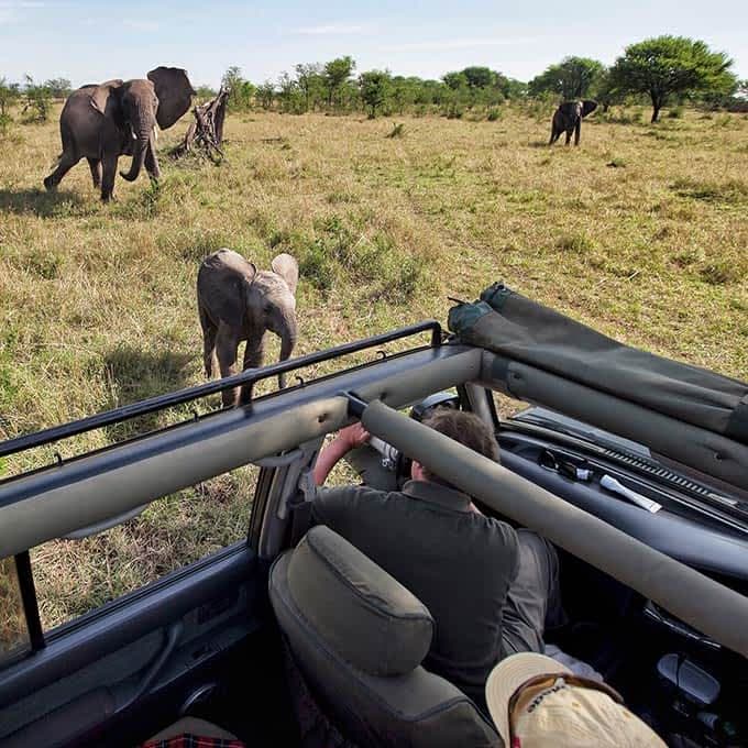Safari game drive