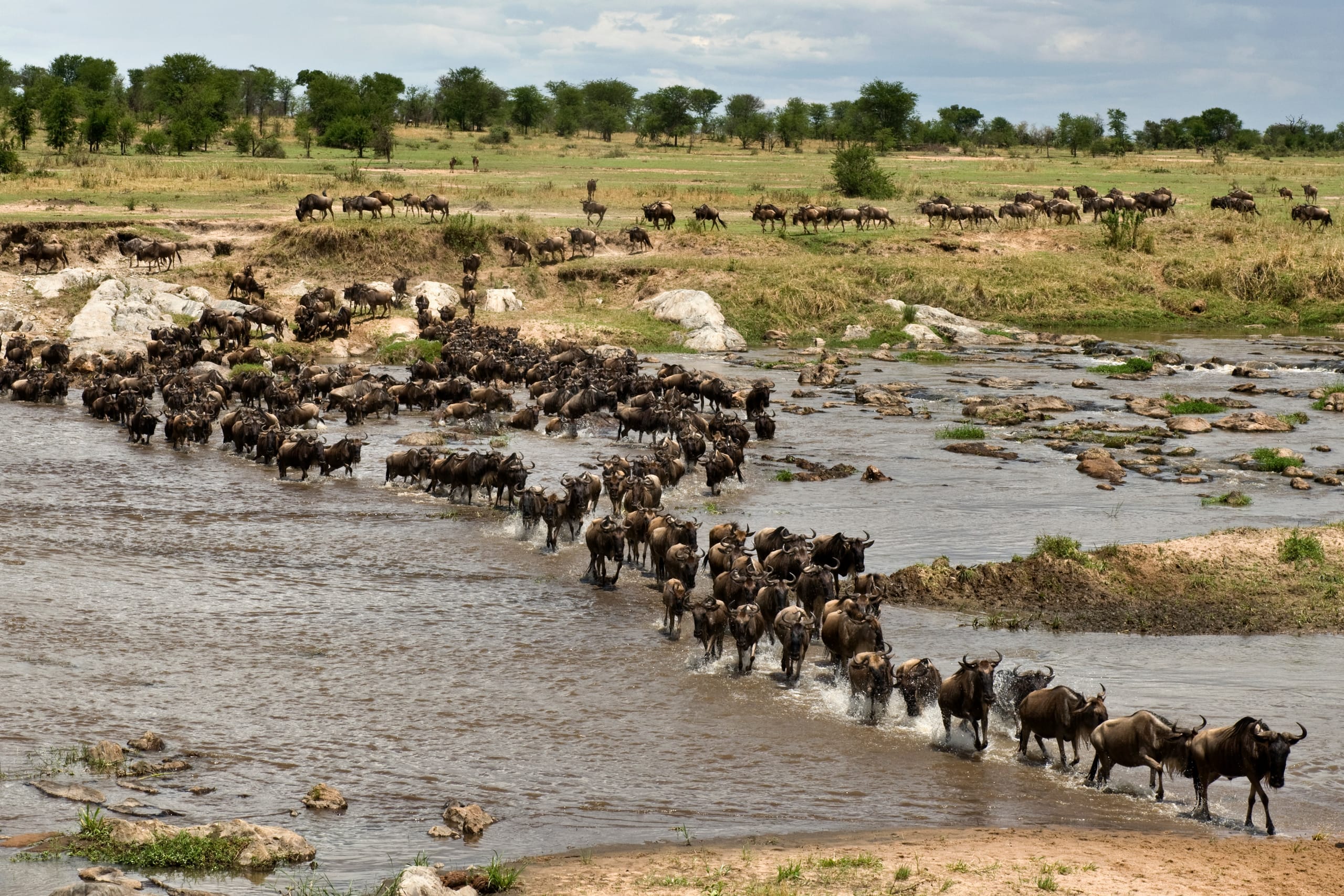 8-Day Serengeti Migration Journey: Western Corridor & Central Seronera