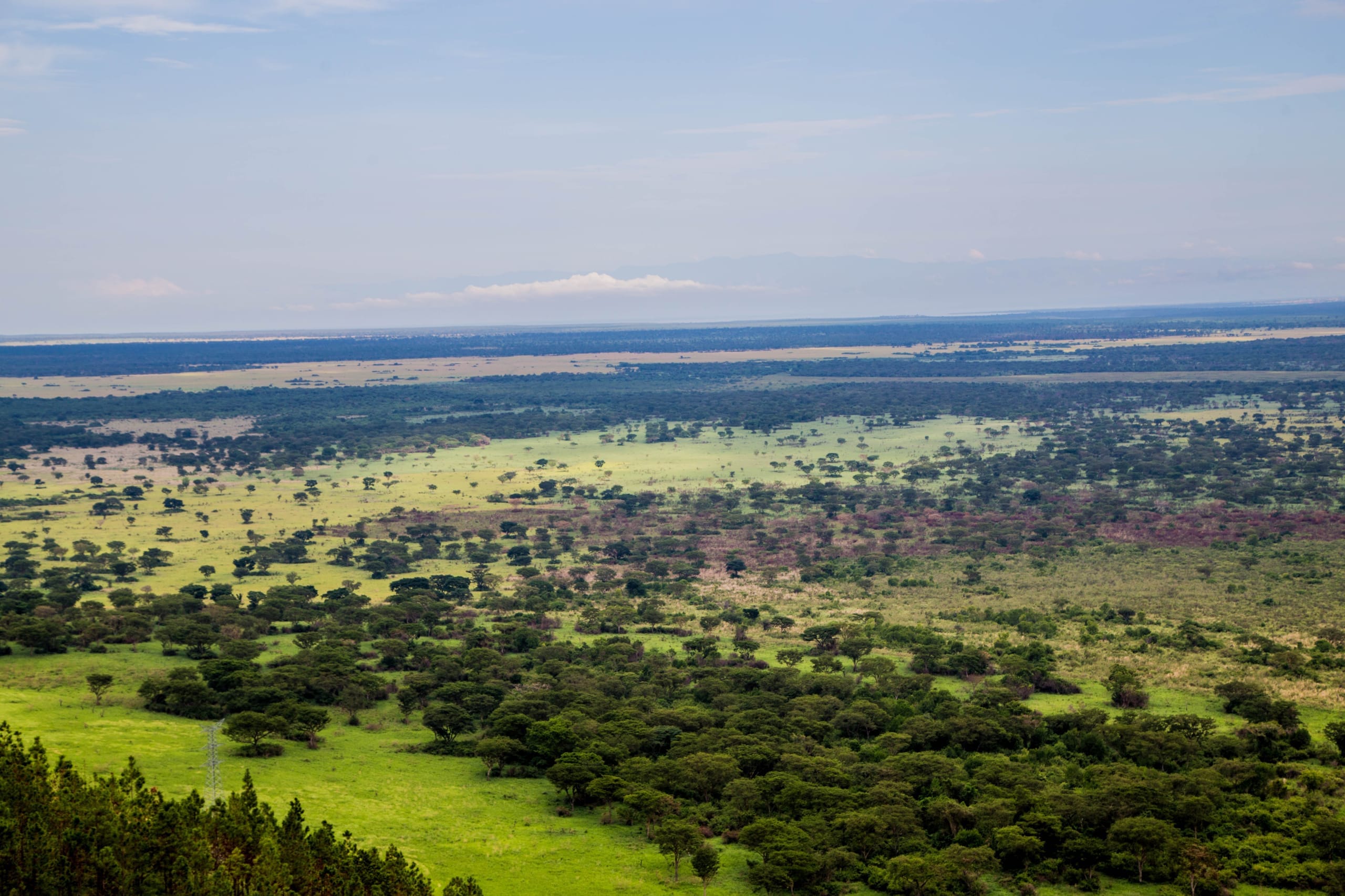 The Rift Valley landscape, with open savannah and distant water