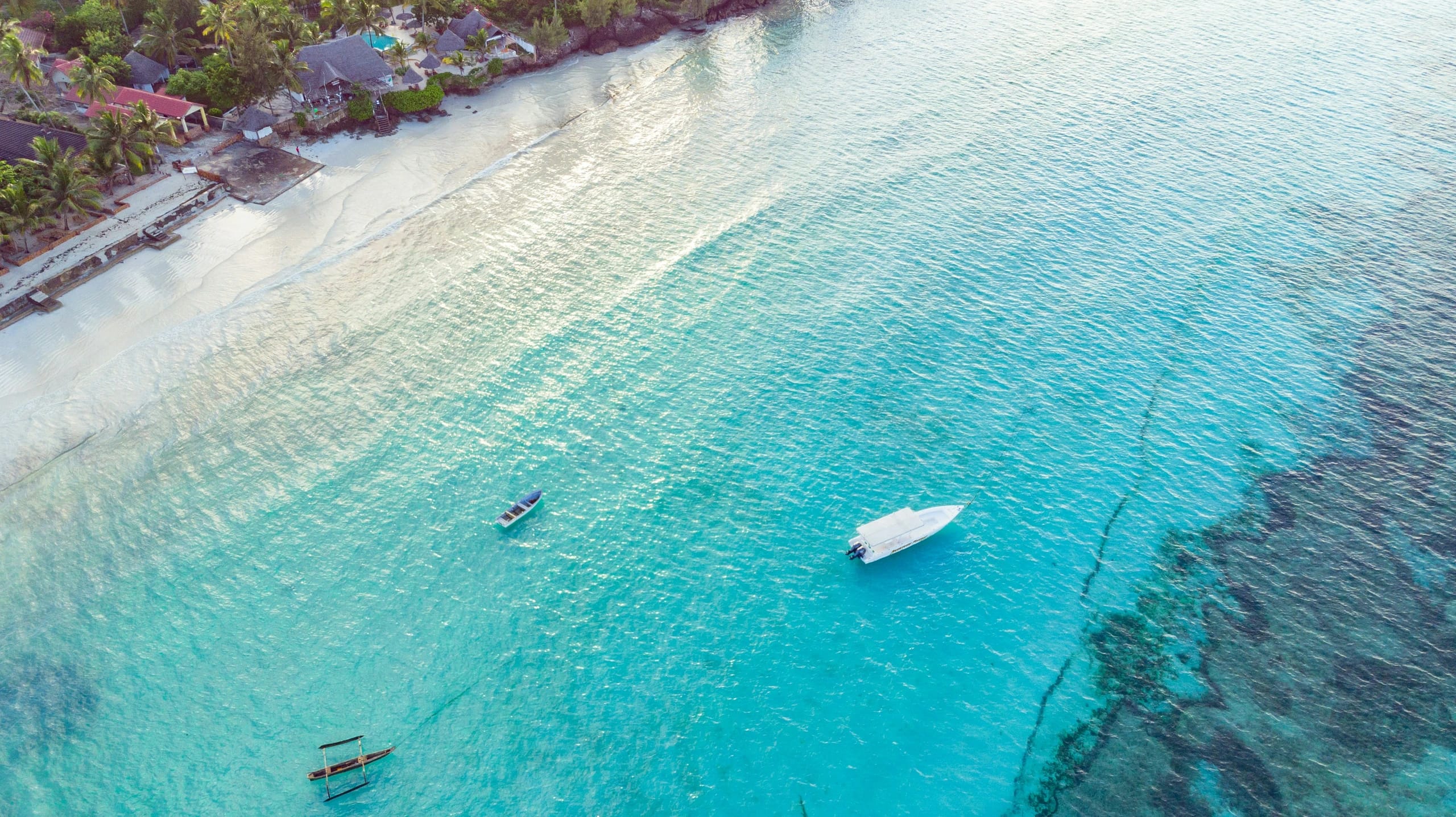 Aerial photograph of Zanzibar’s palm-lined coast and clear turquoise sea