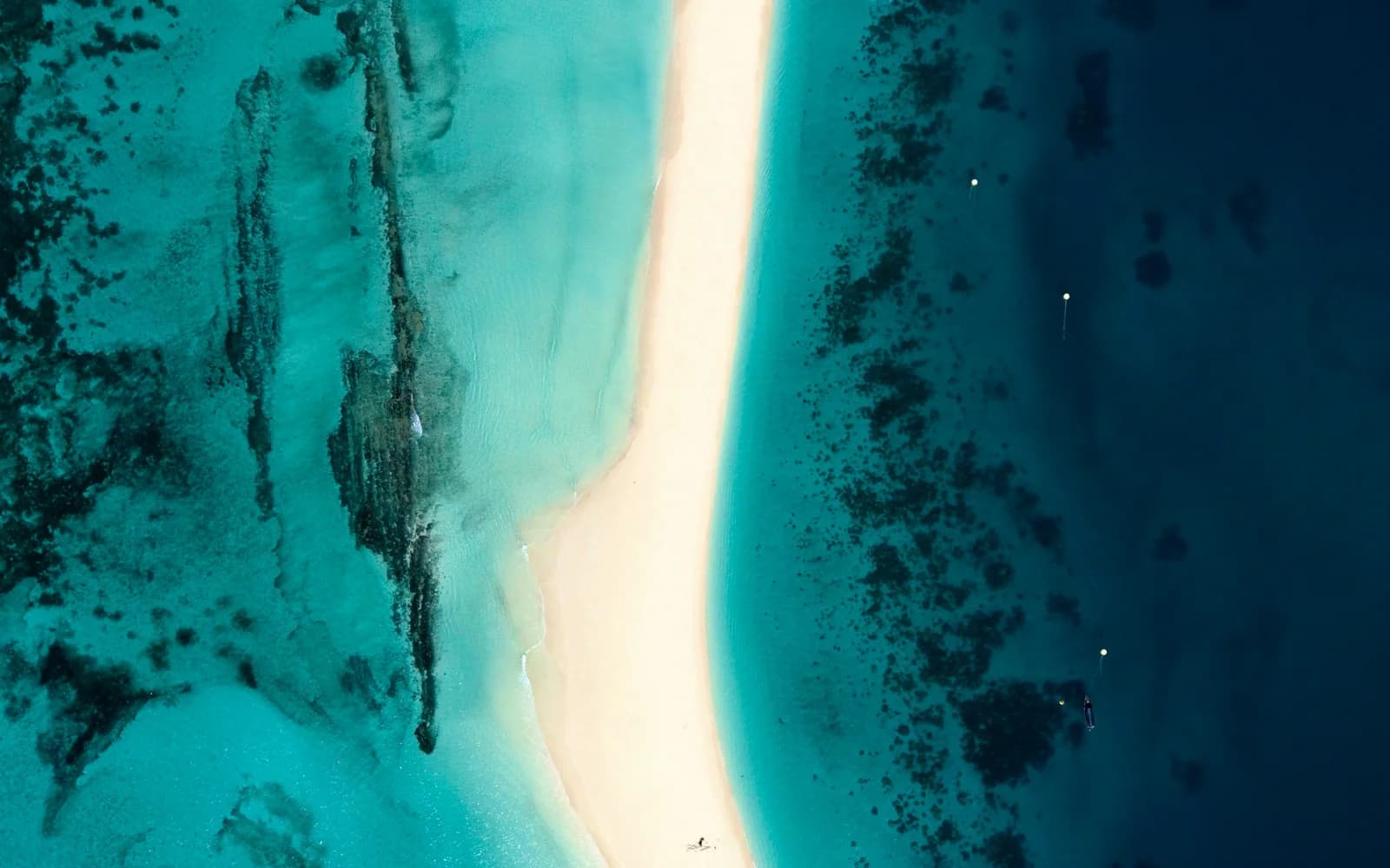 Best time to visit Zanzibar