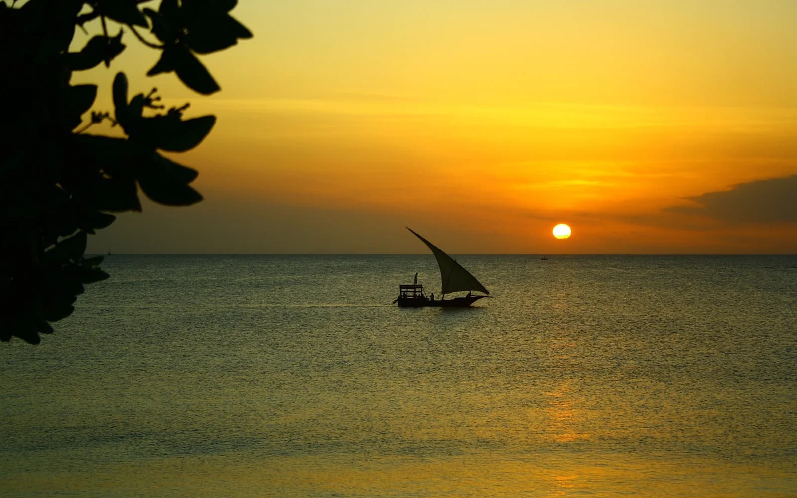 Best time to visit Zanzibar